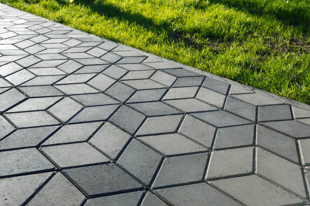 Best Interlocking Driveway Pavers  in Rio Grande City, TX
