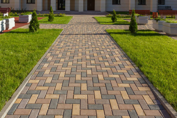 Best Driveway Pavers Near Me  in Rio Grande City, TX